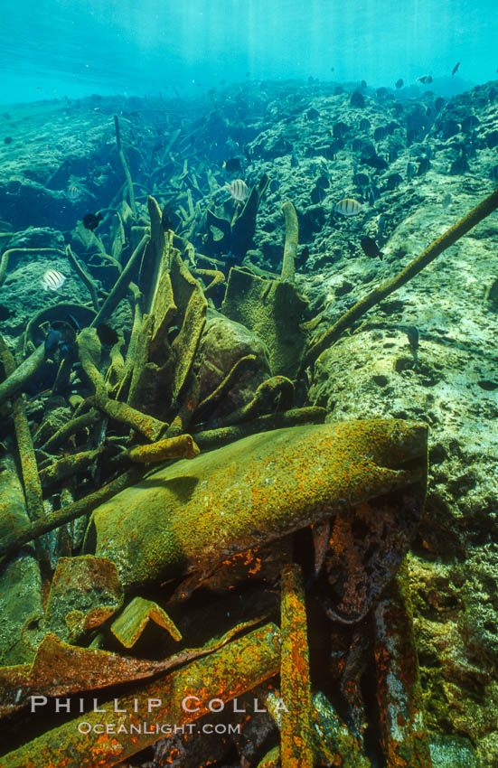 Debris, wreck of F/V Jin Shiang Fa. Rose Atoll National Wildlife Sanctuary, American Samoa, USA, natural history stock photograph, photo id 00827