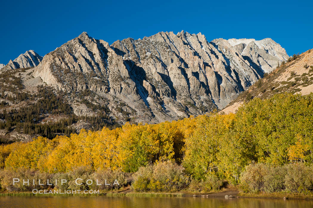 Sierra Nevada mountains and aspen trees, fall colors reflected in the still waters of North Lake. Bishop Creek Canyon Sierra Nevada Mountains, California, USA, Populus tremuloides, natural history stock photograph, photo id 26062