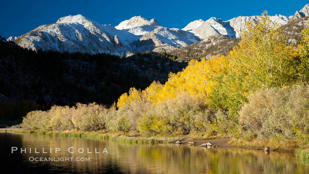 Sierra Nevada mountains and aspen trees, fall colors reflected in the still waters of North Lake. Bishop Creek Canyon Sierra Nevada Mountains, California, USA, Populus tremuloides, natural history stock photograph, photo id 26078