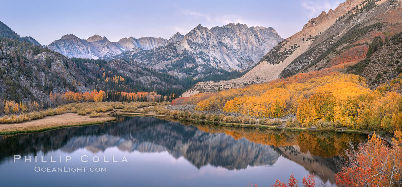 Sierra Nevada fall colors in soft predawn light, North Lake, Bishop Creek Canyon. Bishop Creek Canyon, Sierra Nevada Mountains, California, USA, Populus tremuloides, natural history stock photograph, photo id 36434