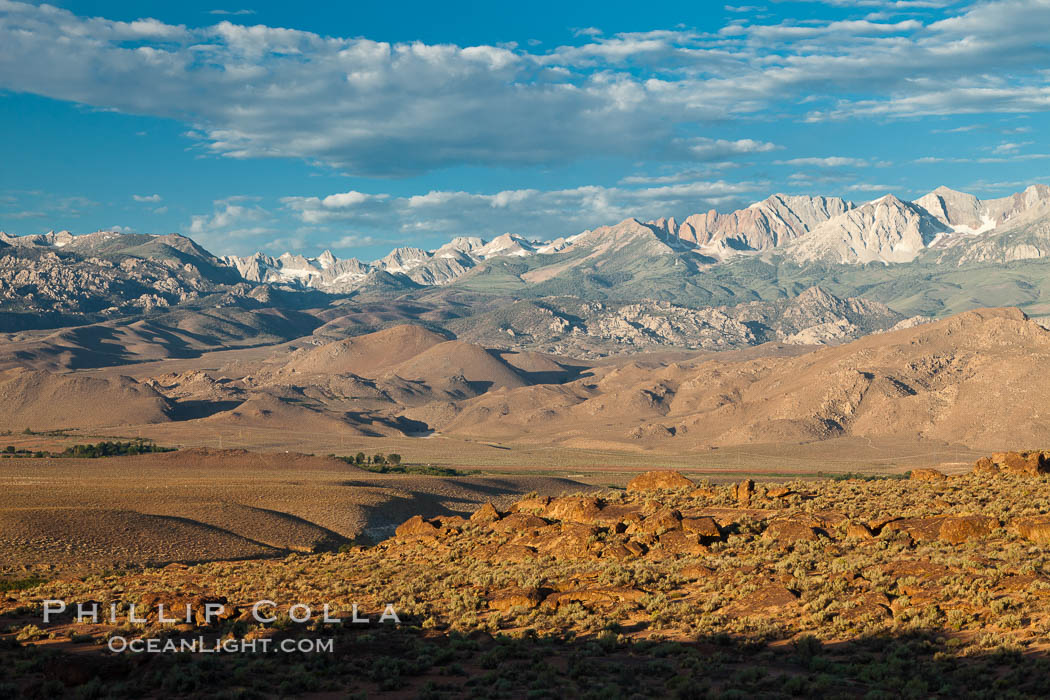 Sierra Nevada mountain range viewed from Volcanic Tablelands, near Bishop, California. USA, natural history stock photograph, photo id 26984