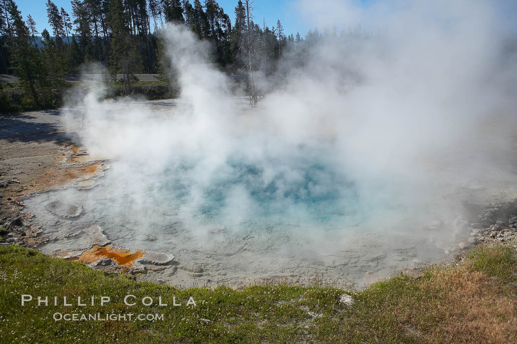 Silex Spring gets its name from the silica which is prevalent in the surrounding volcanic rocks and which is dissolved by the superheated water of Silex Spring.  Silex is latin for silica.  Lower Geyser Basin. Yellowstone National Park, Wyoming, USA, natural history stock photograph, photo id 13525