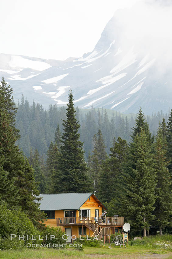 Silver Salmon Creek Lodge, spruce trees and Chigmit Range. Lake Clark National Park, Alaska, USA, natural history stock photograph, photo id 19064