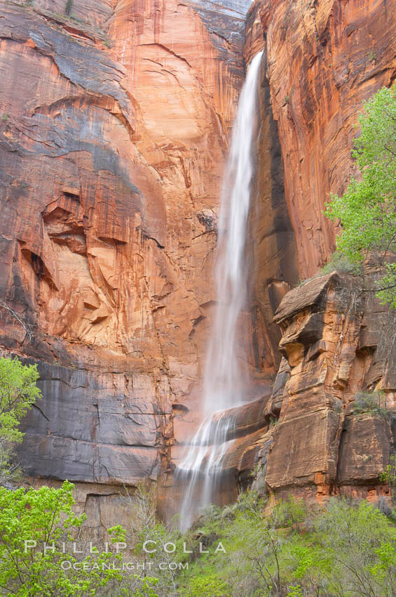 Waterfall at Temple of Sinawava during peak flow following spring rainstorm.  Zion Canyon. Zion National Park, Utah, USA, natural history stock photograph, photo id 12458