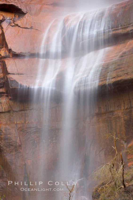 Waterfall at Temple of Sinawava during peak flow following spring rainstorm.  Zion Canyon. Zion National Park, Utah, USA, natural history stock photograph, photo id 12456