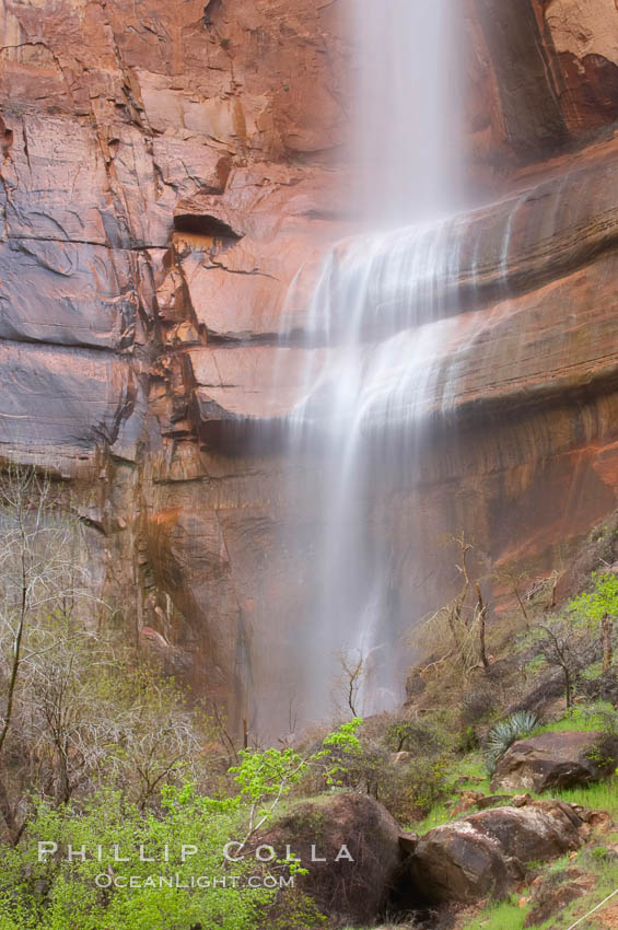 Waterfall at Temple of Sinawava during peak flow following spring rainstorm.  Zion Canyon. Zion National Park, Utah, USA, natural history stock photograph, photo id 12472