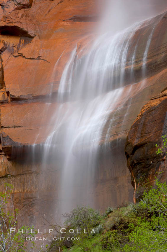 Waterfall at Temple of Sinawava during peak flow following spring rainstorm.  Zion Canyon. Zion National Park, Utah, USA, natural history stock photograph, photo id 12451
