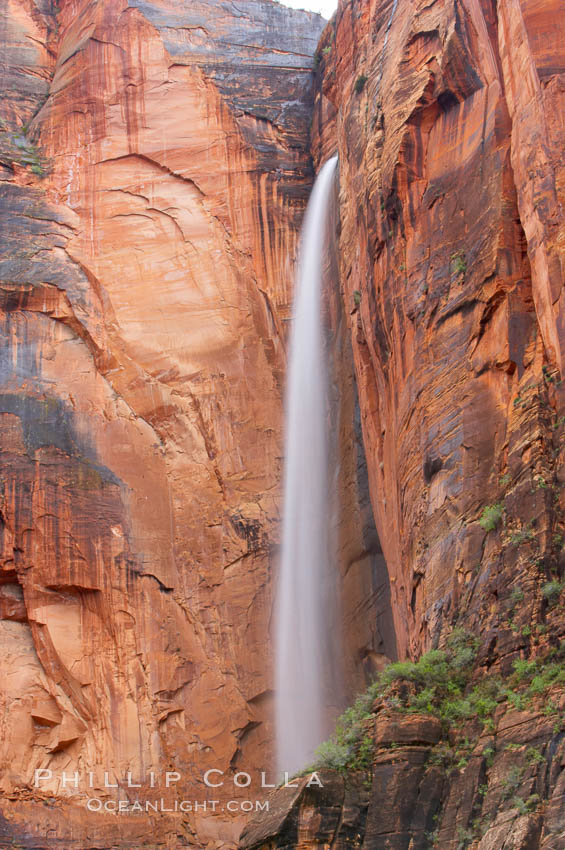Waterfall at Temple of Sinawava during peak flow following spring rainstorm.  Zion Canyon. Zion National Park, Utah, USA, natural history stock photograph, photo id 12471