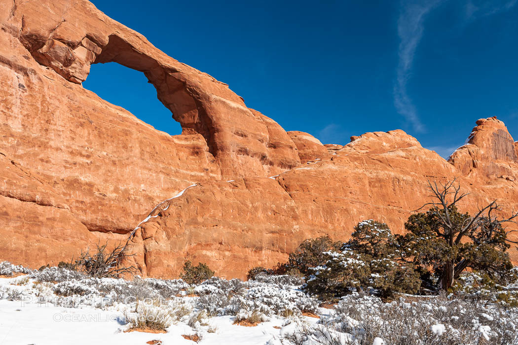 Skyline Arch spans 90 feet. Arches National Park, Utah, USA, natural history stock photograph, photo id 18170