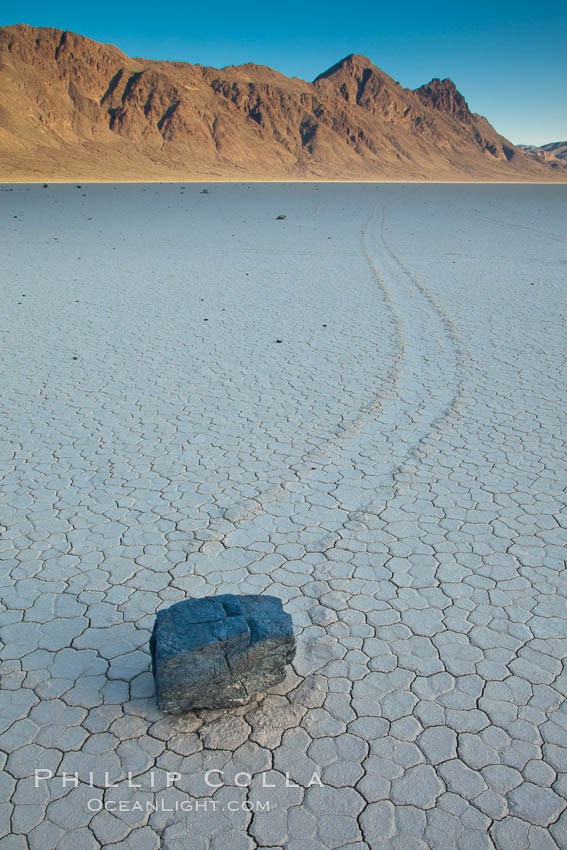 A sliding rock of the Racetrack Playa.  The sliding rocks, or sailing stones, move across the mud flats of the Racetrack Playa, leaving trails behind in the mud.  The explanation for their movement is not known with certainty, but many believe wind pushes the rocks over wet and perhaps icy mud in winter. Death Valley National Park, California, USA, natural history stock photograph, photo id 25325