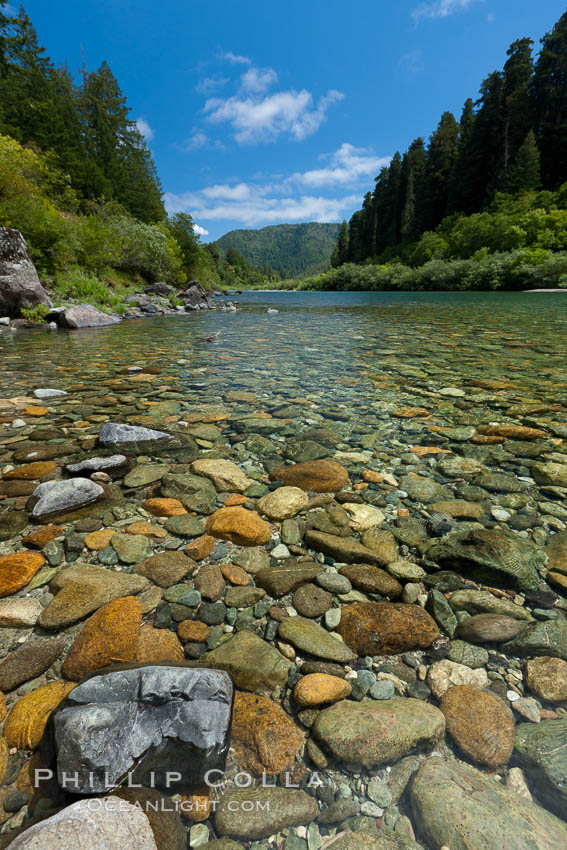 Smith River, the last major free flowing river in California.  Trees include the coast redwood, western hemlock, Sitka spruce, grand fir and Douglas fir. Jedediah Smith State Park, USA, natural history stock photograph, photo id 25851