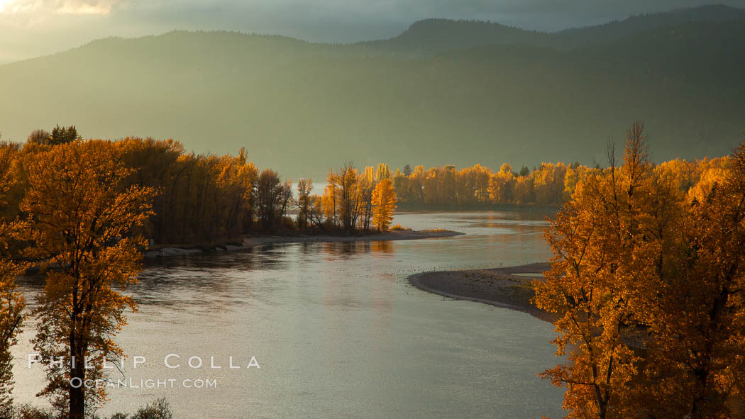 Fall colors along Little Shuswap Lake, near the Adams River. Roderick Haig-Brown Provincial Park, British Columbia, Canada, Oncorhynchus nerka, natural history stock photograph, photo id 26185