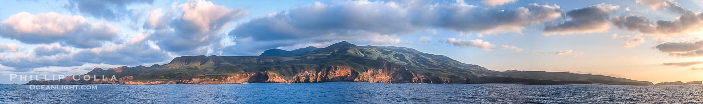 Socorro, Revillagigedos, Baja California, Mexico., natural history stock photograph, photo id 36219