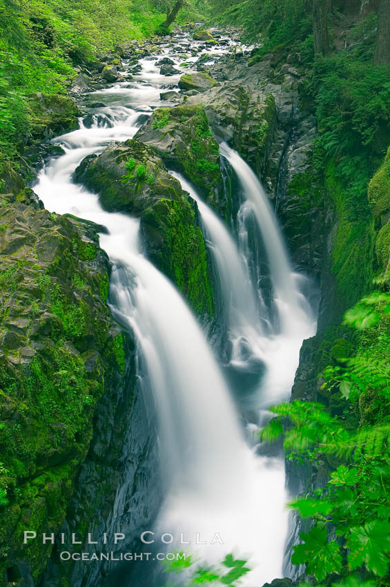 Sol Duc Falls.  Sol Duc Falls is one of the largest and most beautiful waterfalls in Olympic National Park, seen here from a bridge that crosses the canyon just below the falls. Surrounding the falls is an old-growth forest of hemlocks and douglas firs, some of which are three hundred years in age. Sol Duc Springs, Washington, USA, natural history stock photograph, photo id 13747