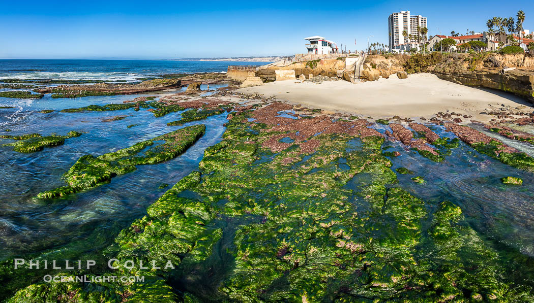 South Casa and Childrens Pool Reef Exposed at Extreme Low King Tide, La Jolla, California. Aerial panoramic photograph., natural history stock photograph, photo id 40715