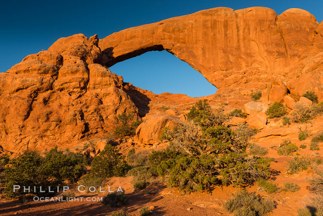 South Window at Sunrise, Arches National Park. Utah, USA, natural history stock photograph, photo id 29280