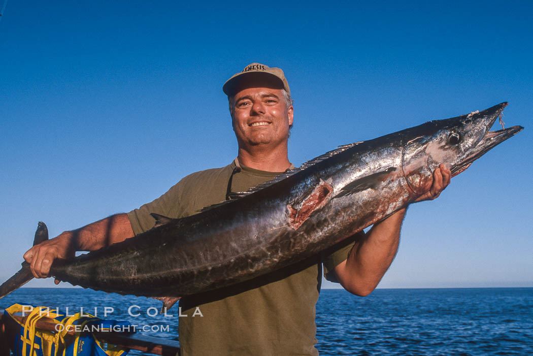 Spearfisherman and wahoo (ono). Guadalupe Island (Isla Guadalupe), Baja California, Mexico, natural history stock photograph, photo id 02997