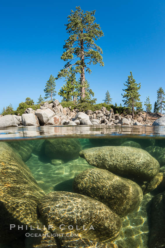 Split view of Trees and Underwater Boulders, Lake Tahoe, Nevada