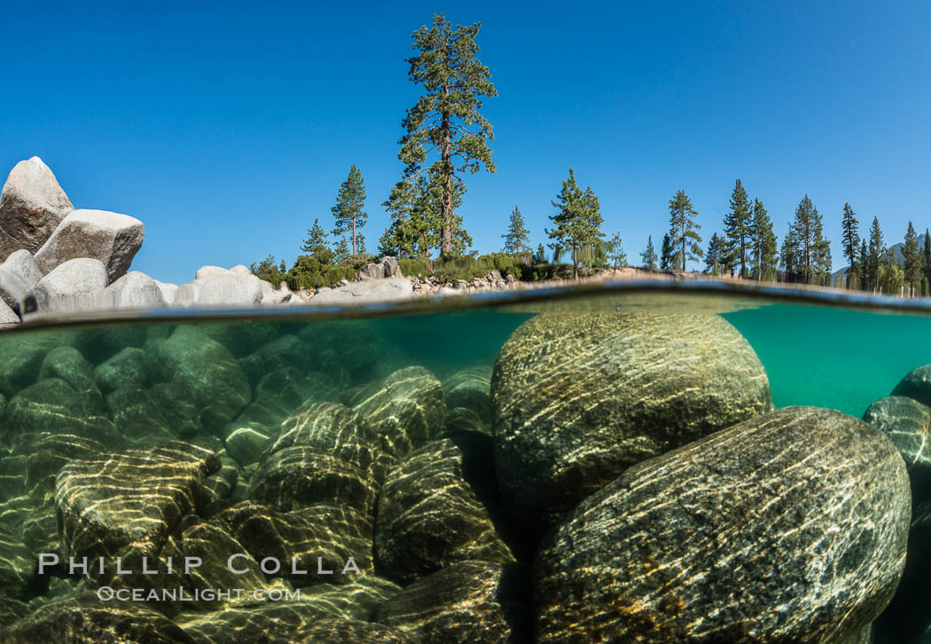 Split view of Trees and Underwater Boulders, Lake Tahoe, Nevada. USA, natural history stock photograph, photo id 32335