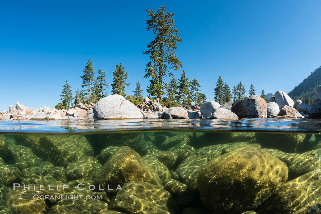 Split view of Trees and Underwater Boulders, Lake Tahoe, Nevada. USA, natural history stock photograph, photo id 32339