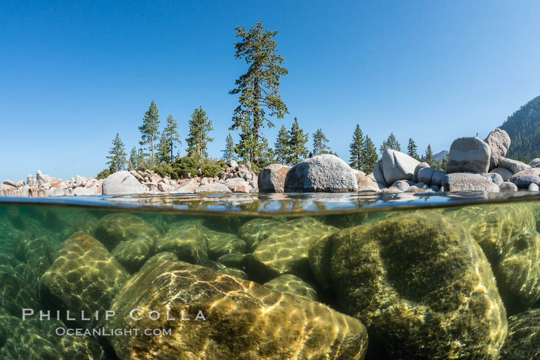 Split view of Trees and Underwater Boulders, Lake Tahoe, Nevada. USA, natural history stock photograph, photo id 32343