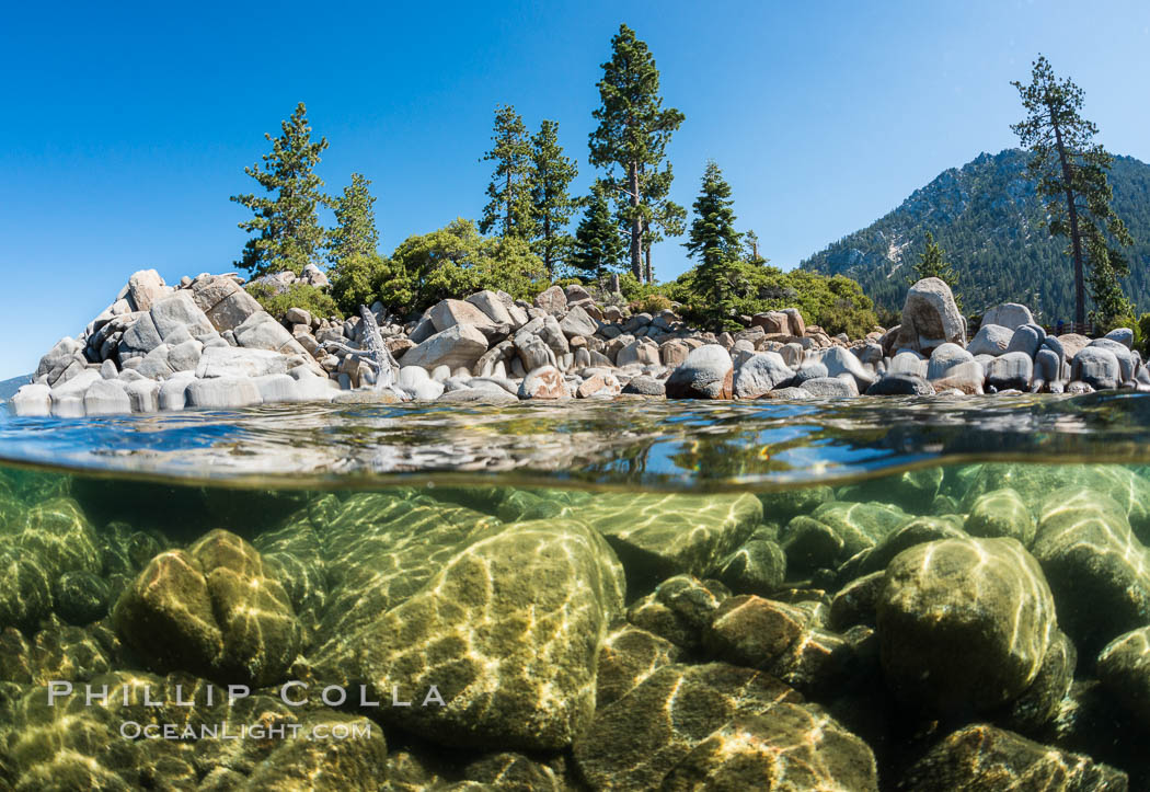 Split view of Trees and Underwater Boulders, Lake Tahoe, Nevada. USA, natural history stock photograph, photo id 32353