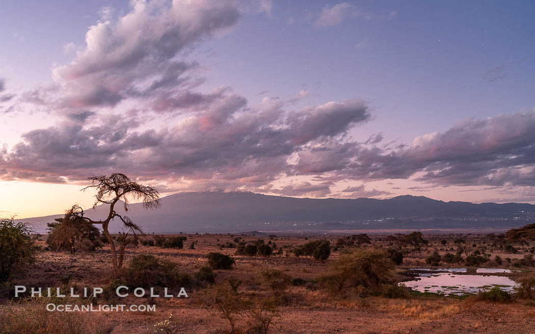 Stars and Clouds Over Mount Kilimanjaro, Before Dawn, Viewed from Tortilis Camp. Amboseli National Park, Kenya, natural history stock photograph, photo id 39735