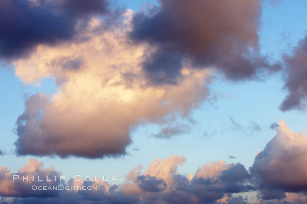 Clouds form at dawn before a storm rolls in. Carlsbad, California, USA, natural history stock photograph, photo id 22474