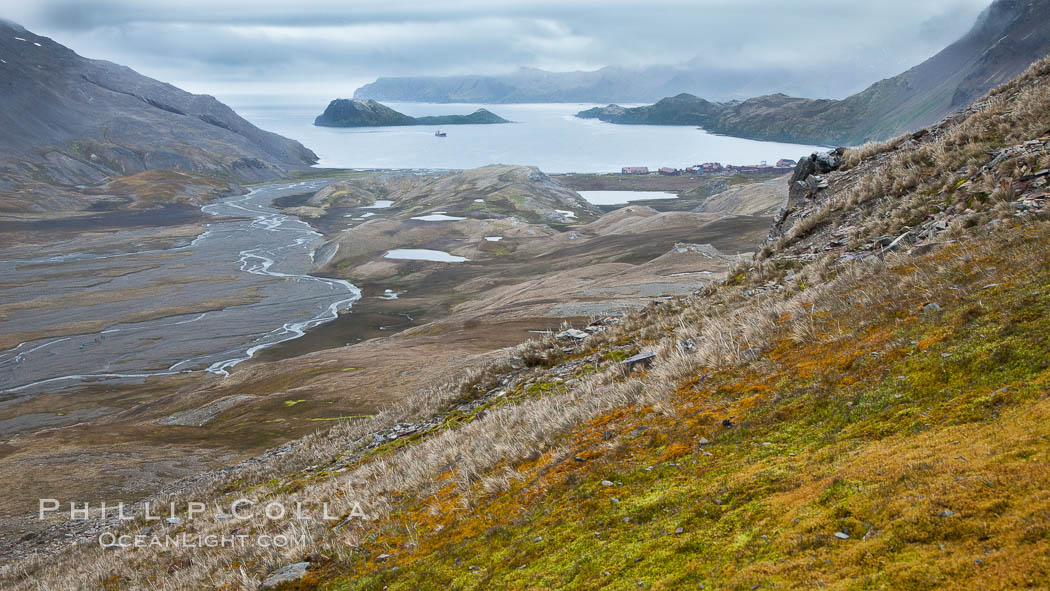 Looking down on Stromness Bay from the pass high above. Stromness Harbour, South Georgia Island, natural history stock photograph, photo id 24613