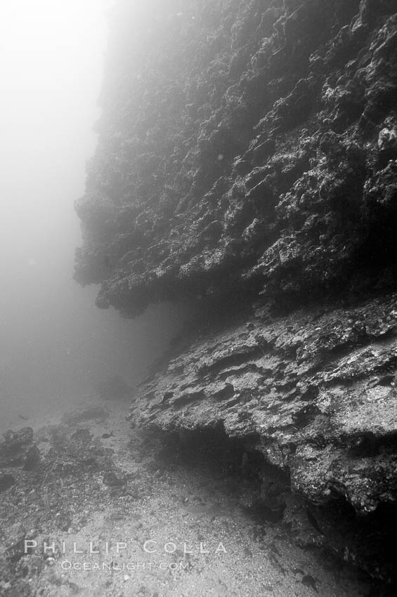 The submerged volcanic cone of Cousins is cut on its sides by ledges and overhangs.  Black and white / grainy.  Cousins. Galapagos Islands, Ecuador, natural history stock photograph, photo id 16450
