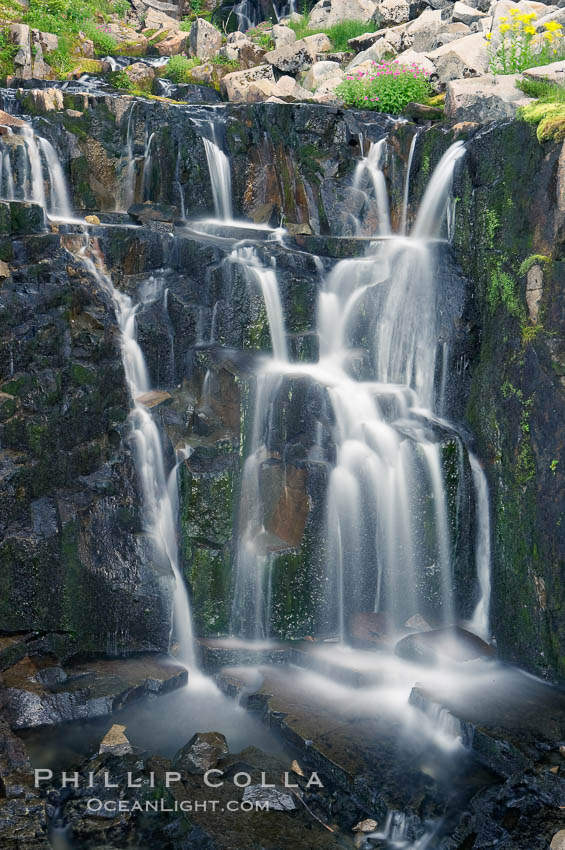 Waterfall, Sunbeam Creek. Mount Rainier National Park, Washington, USA, natural history stock photograph, photo id 13878