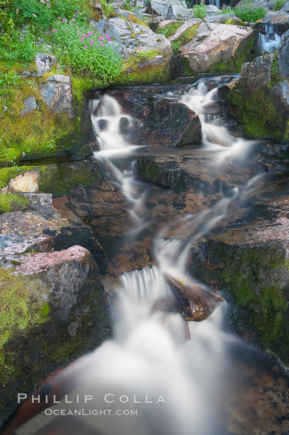Waterfall, Sunbeam Creek. Mount Rainier National Park, Washington, USA, natural history stock photograph, photo id 13877