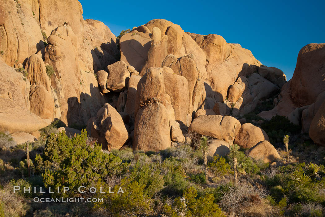 Sunrise on stone boulders, Joshua Tree National Park, desert southwest. California, USA, natural history stock photograph, photo id 26780