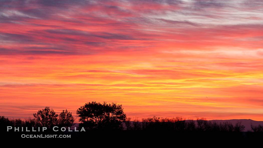 Sunrise and colorful clouds fill the sky., natural history stock photograph, photo id 26243