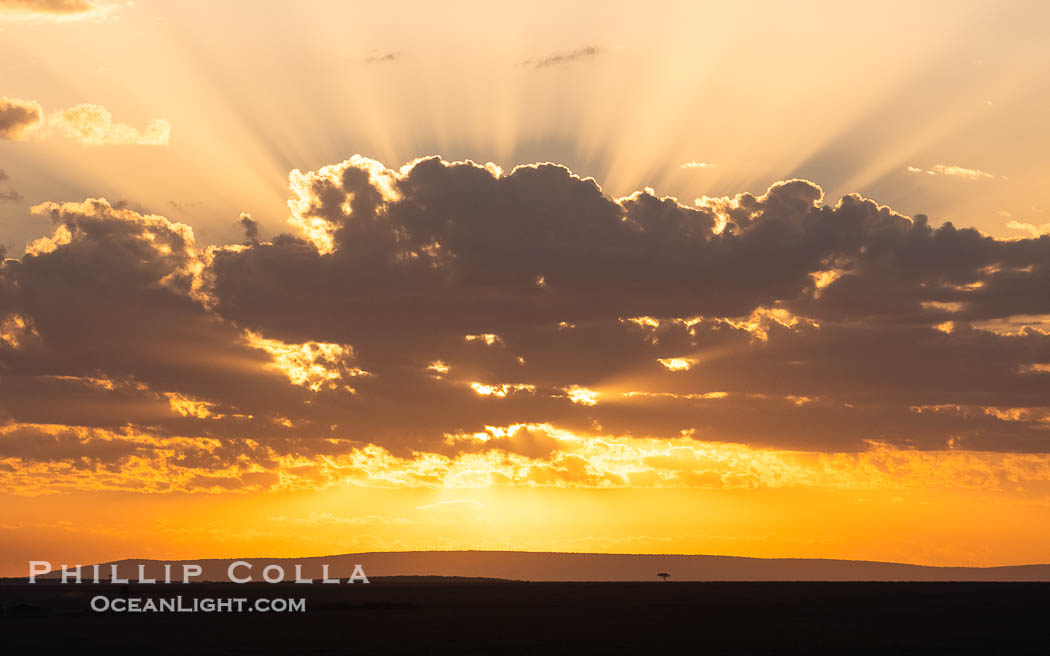 Sunrise over the Masai Mara, Kenya. Maasai Mara National Reserve, natural history stock photograph, photo id 39644