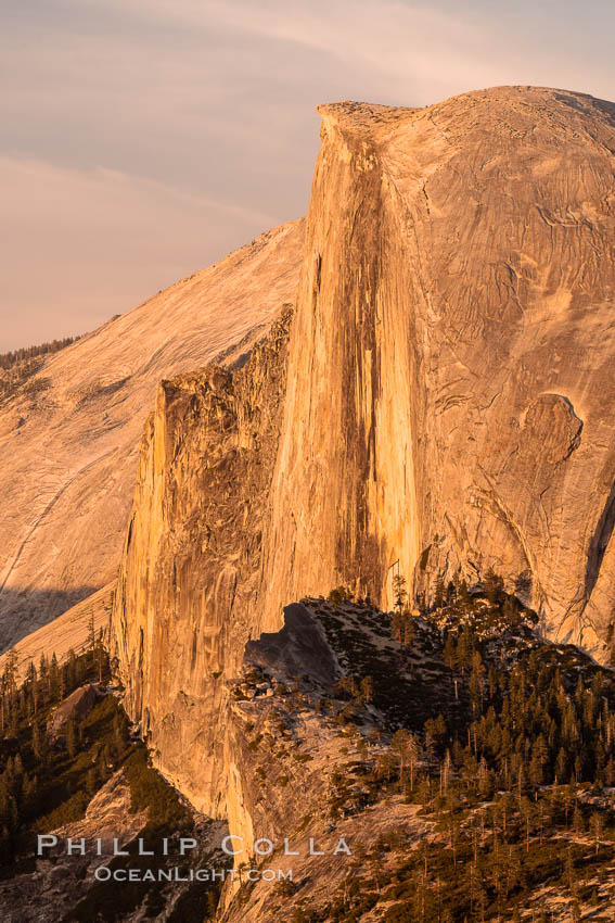 Sunset light on the face of Half Dome, Yosemite National Park. California, USA, natural history stock photograph, photo id 36381