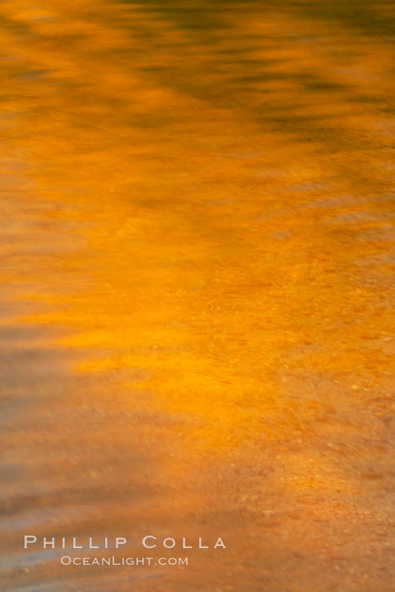 Orange aspen trees are reflected in the smooth calm water of North Lake. Bishop Creek Canyon, Sierra Nevada Mountains, California, USA, natural history stock photograph, photo id 23340