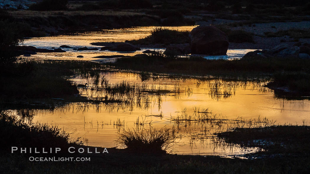 Sunset reflections in the Tuolumne River. Tuolumne Meadows, Yosemite National Park, California, USA, natural history stock photograph, photo id 09974
