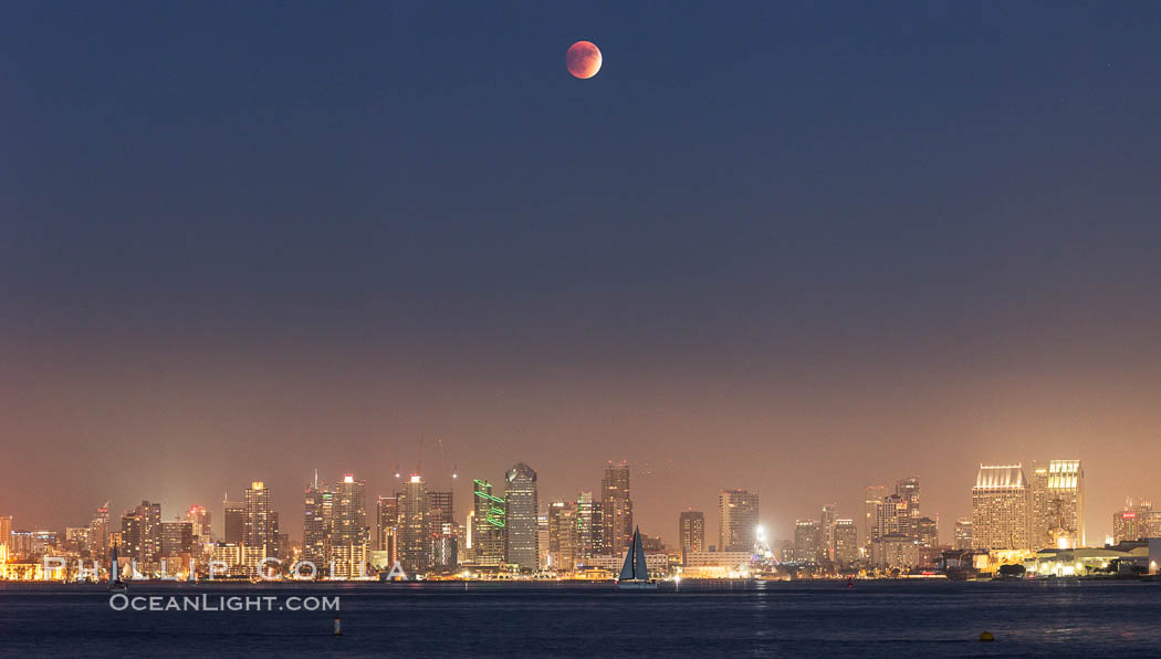 Supermoon Eclipse at Moonrise over San Diego, September 27 2015., natural history stock photograph, photo id 31868