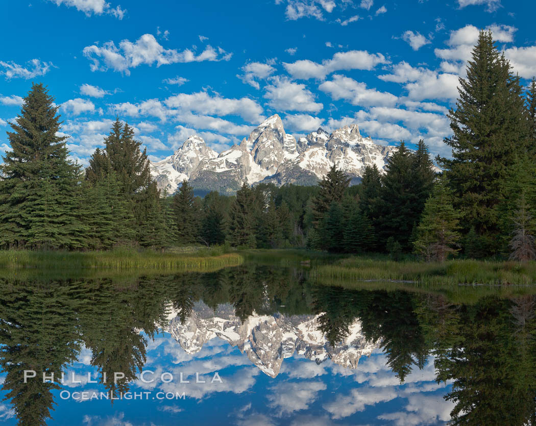 The Grand Tetons, reflected in the glassy waters of the Snake River at Schwabacher Landing, on a beautiful summer morning. Grand Teton National Park, Wyoming, USA, natural history stock photograph, photo id 26923