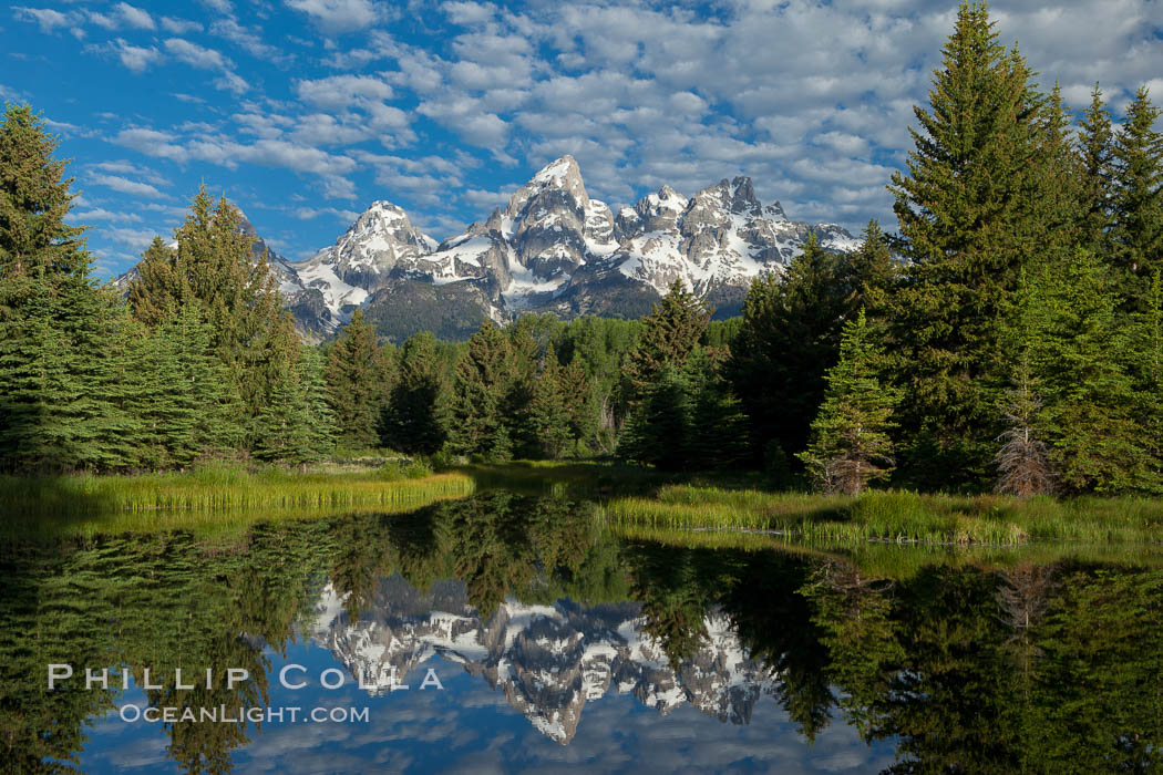 The Grand Tetons, reflected in the glassy waters of the Snake River at Schwabacher Landing, on a beautiful summer morning. Grand Teton National Park, Wyoming, USA, natural history stock photograph, photo id 26917