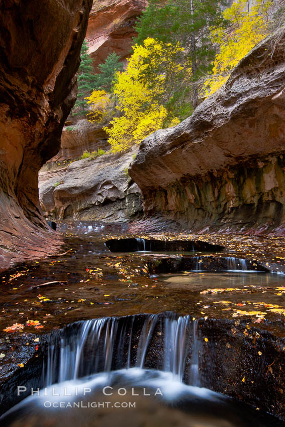 The Subway, a iconic eroded sandstone formation in Zion National Park