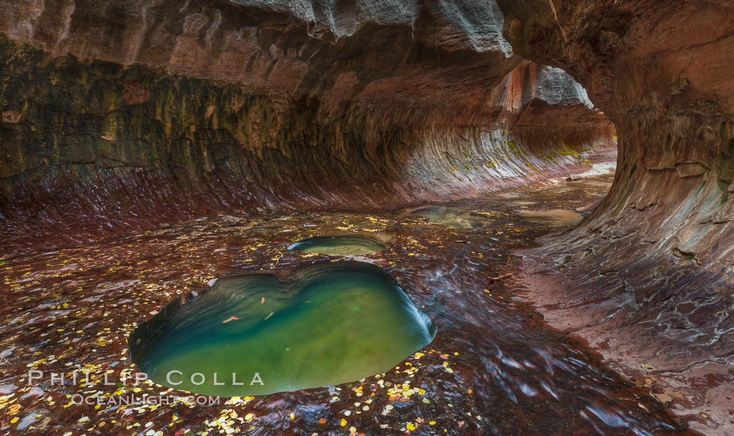 The Subway, a iconic eroded sandstone formation in Zion National Park. Utah, USA, natural history stock photograph, photo id 26093