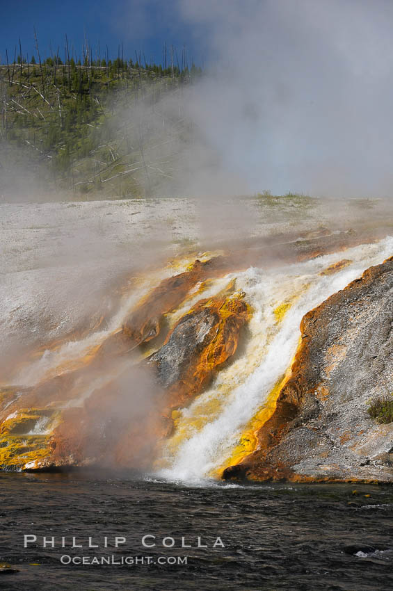 Thermophilac heat-loving bacteria color the runoff canals from Excelsior Geyser as it empties into the Firehole River. Midway Geyser Basin, Yellowstone National Park, Wyoming, USA, natural history stock photograph, photo id 13600