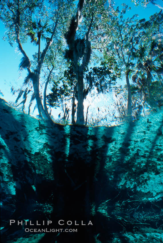 Three Sisters Springs, Crystal River, Florida