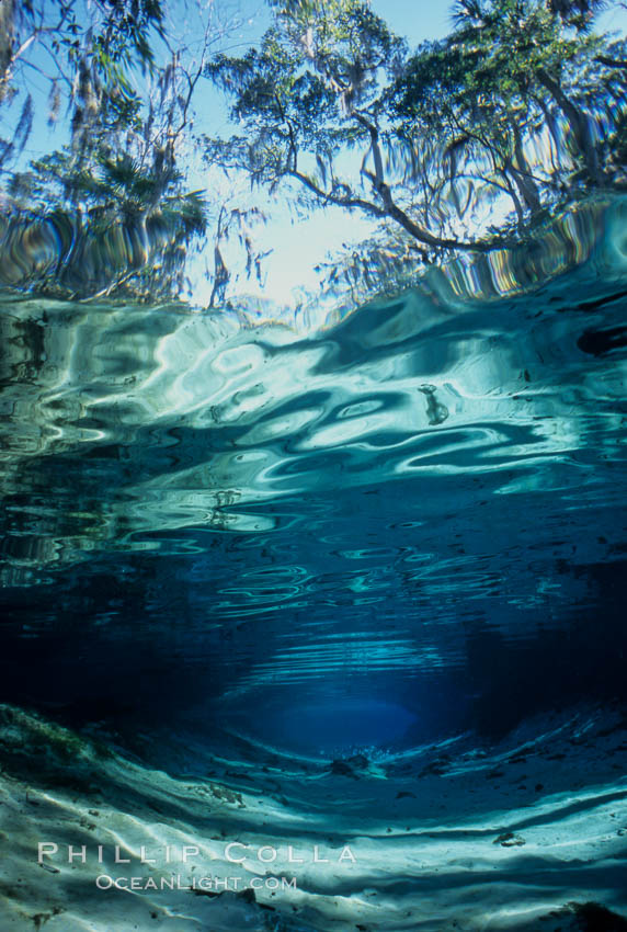 Three Sisters Springs depicted in an underwater landscape with sand, clear water and trees, Crystal River, Florida