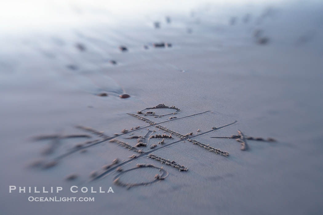 Tic-tac-toe in the sand on the beach., natural history stock photograph, photo id 17988