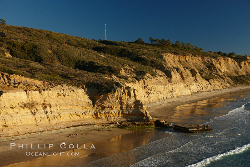 Torrey Pines seacliffs, rising up to 300 feet above the ocean, stretch from Del Mar to La Jolla.  On the mesa atop the bluffs are found Torrey pine trees, one of the rare species of pines in the world. Torrey Pines State Reserve, San Diego, California, USA, natural history stock photograph, photo id 22311