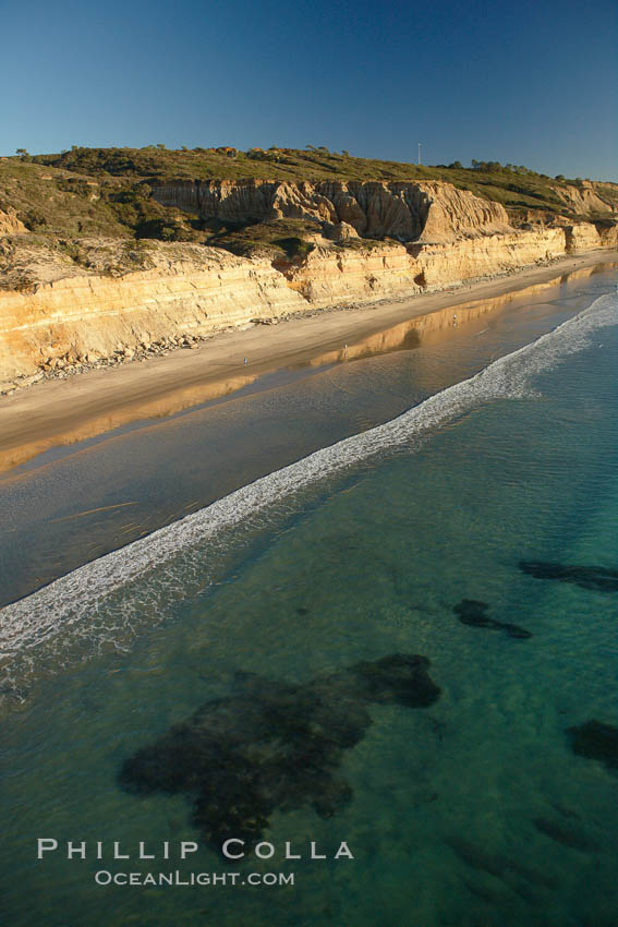 Torrey Pines seacliffs, rising up to 300 feet above the ocean, stretch from Del Mar to La Jolla.  On the mesa atop the bluffs are found Torrey pine trees, one of the rare species of pines in the world. Torrey Pines State Reserve, San Diego, California, USA, natural history stock photograph, photo id 22319