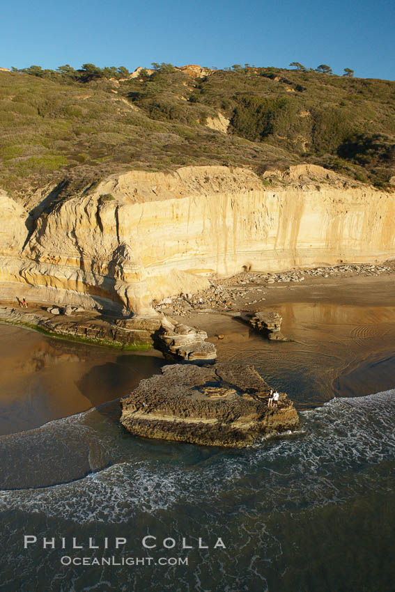 Torrey Pines seacliffs, rising up to 300 feet above the ocean, stretch from Del Mar to La Jolla. On the mesa atop the bluffs are found Torrey pine trees, one of the rare species of pines in the world, Torrey Pines State Reserve, San Diego, California